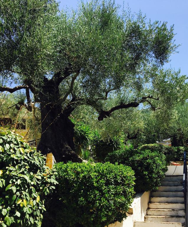 Lofos Strani Otel Zakintos Dış mekan fotoğraf